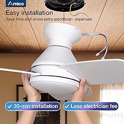 Amico Ceiling Fans with Lights, 30 inch Low Profile