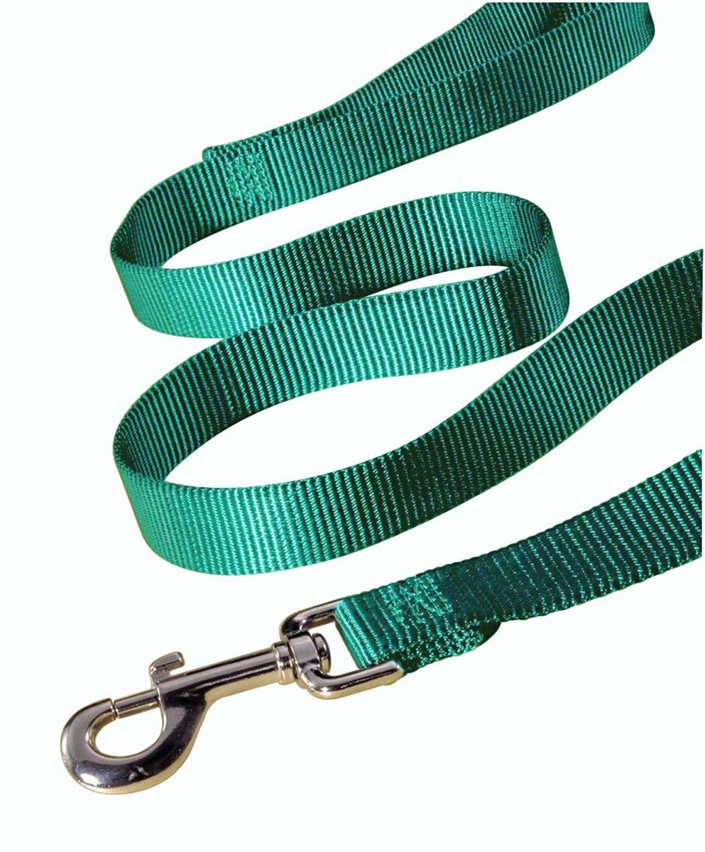Hamilton 3/8 Inch Single Thick Nylon Lead With Swivel Snap, 6 Foot Long, Green