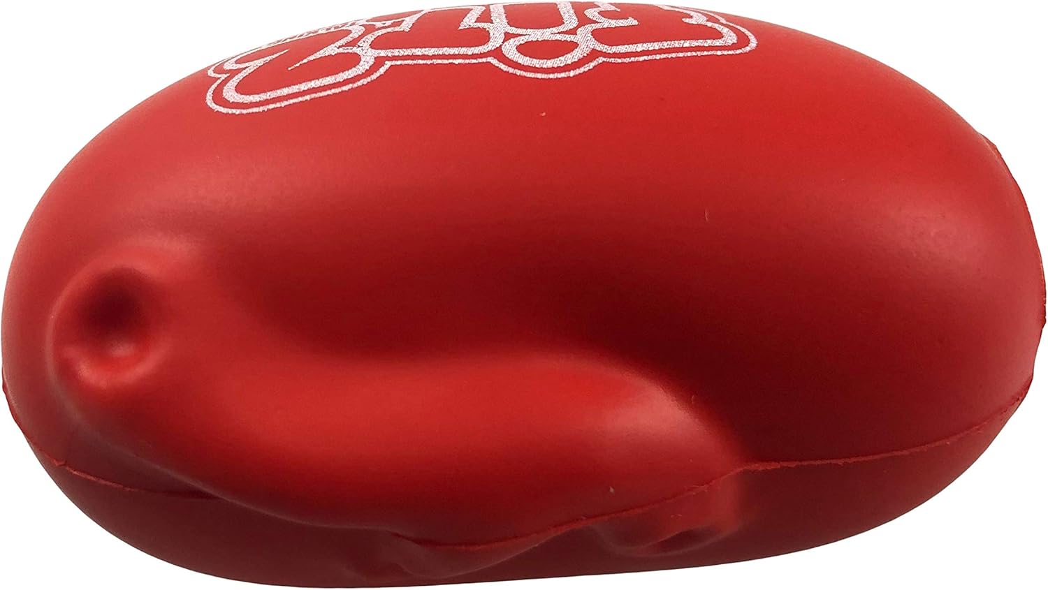 Fitz Talking Kidney Motivational Stress Ball - Encouragement and Stress Relief - Quotes - Squeeze Ball: Sports & Outdoors