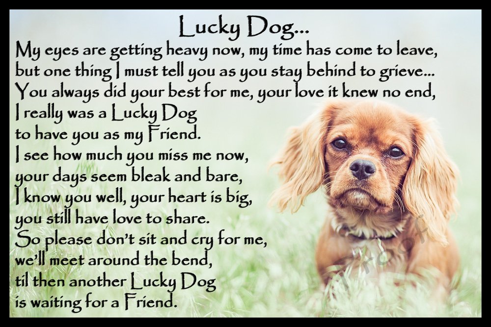 cat paw print keepsake