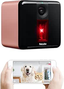 most aggressive breeds