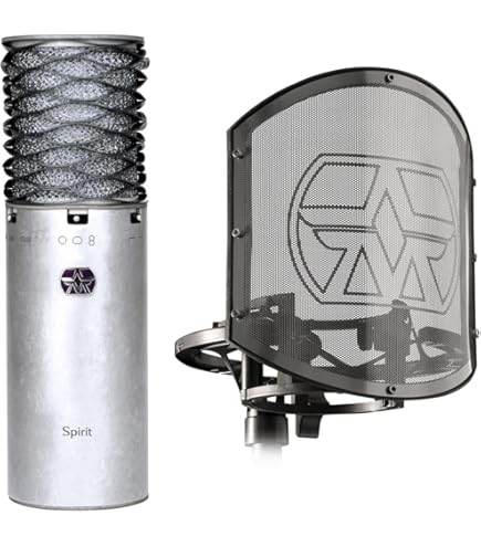 Amazon.com: Aston Microphones Origin Large-Diaphragm Cardioid