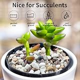 FANTIAN 2 lbs Mixed Color Gravel 6-9mm for Aquarium Succulent Pots view 5