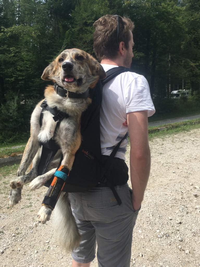 dog rucksack 10kg