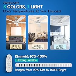 Ceiling Fan With Light 52-Inch, Remote Control