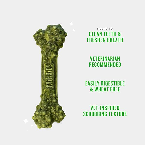 MINTIES DOG DENTAL BONE TREATS, DENTAL CHEWS FOR DOGS 25-50 LBS, 60 COUNT, BRUSHING CHEWS HELPS CLEAN TEETH AND FRESHEN BAD BREATH, REMOVES PLAQUE AND TARTAR, VETERINARIAN RECOMMENDED