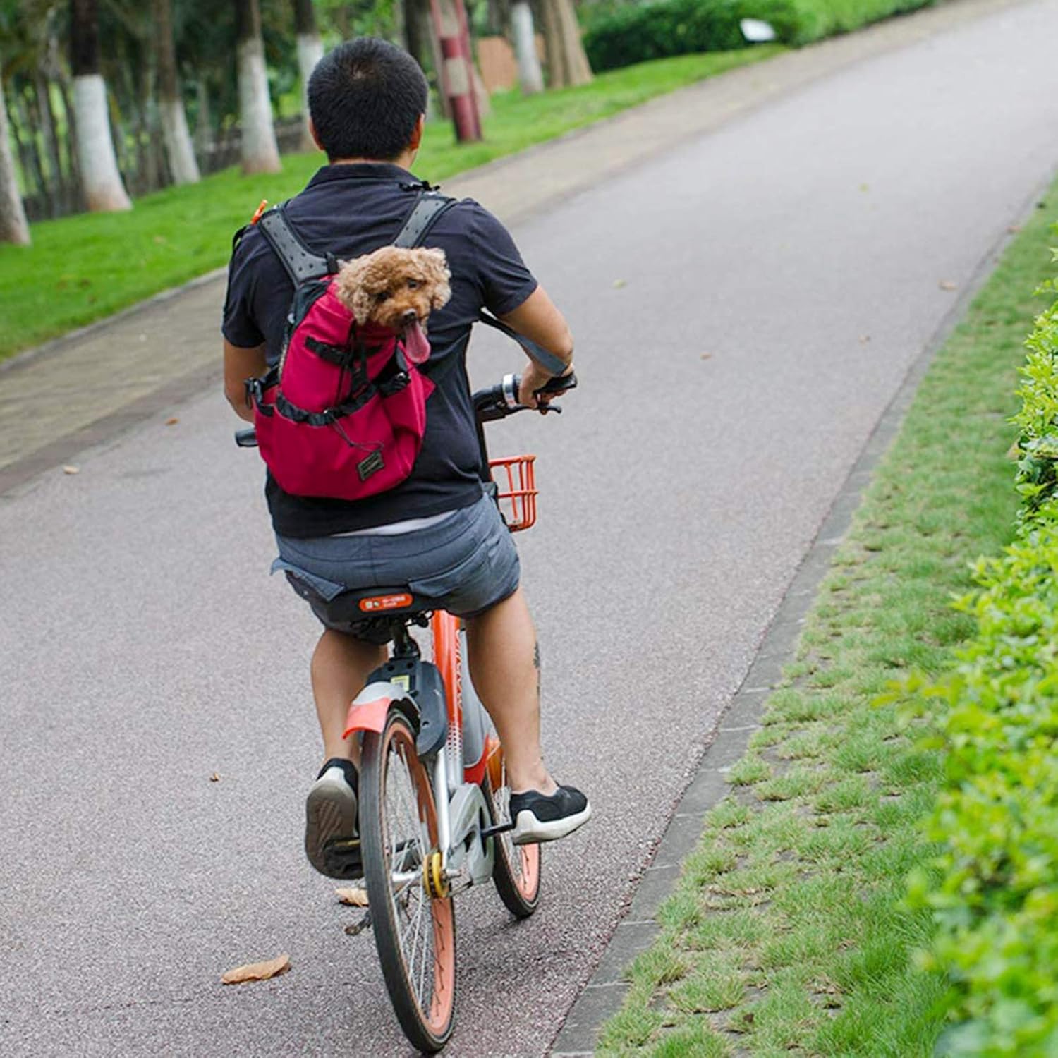 Woolala Light Weight Pet Carrier Backpack for Small and Medium Dogs