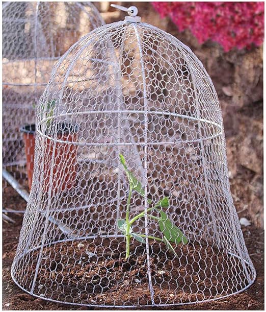chickentree 4 Pack 14 Inches Wire Cloche for Plants Metal Squirrel