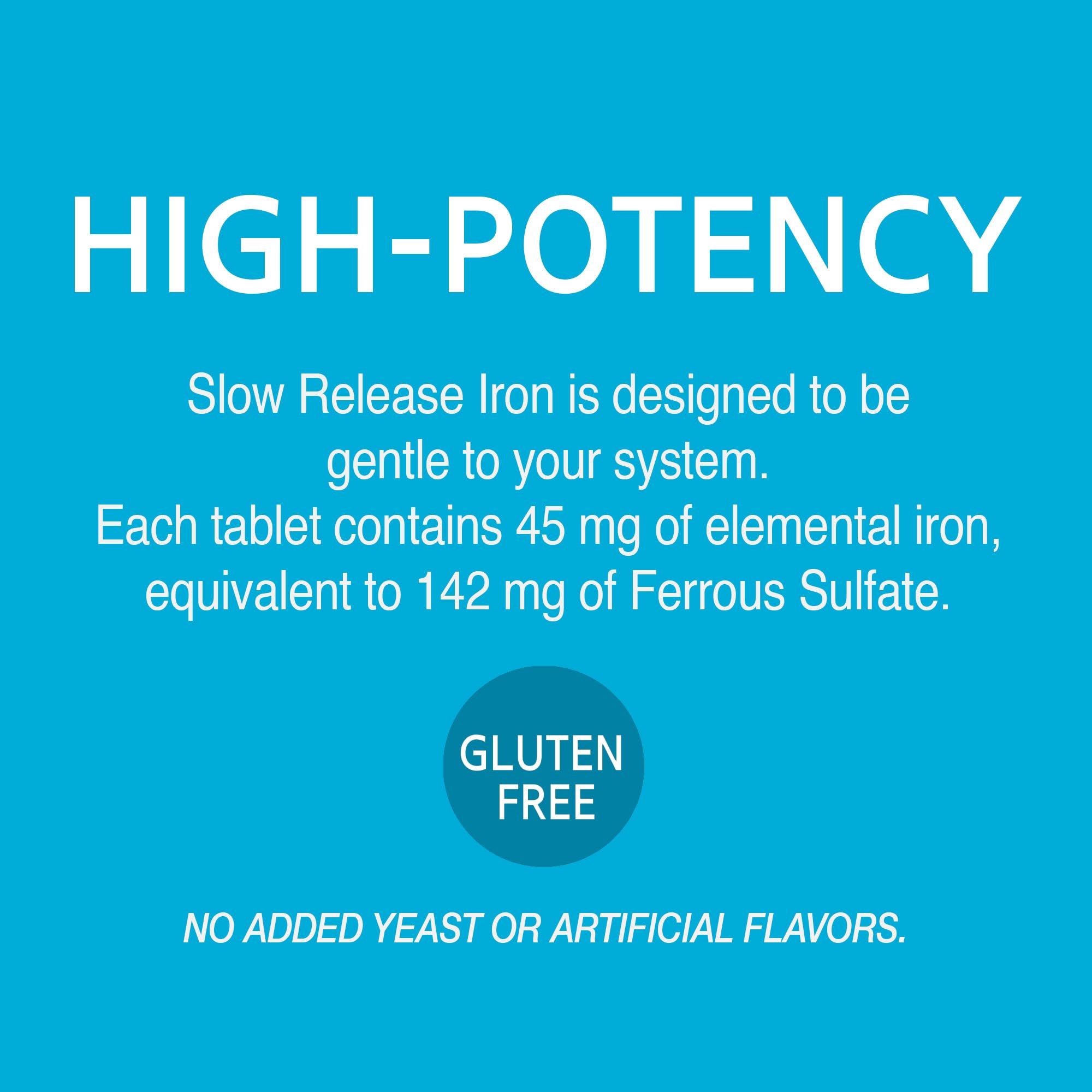 21st Century Slow Release Iron Tablets, 60 Count