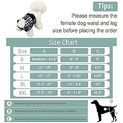 Female Dog Diapers - Premium Reusable Diapers for