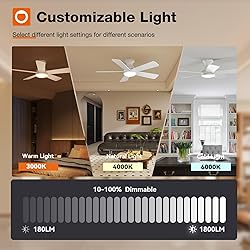 addlon Ceiling Fans with Lights, 42 Inch Low