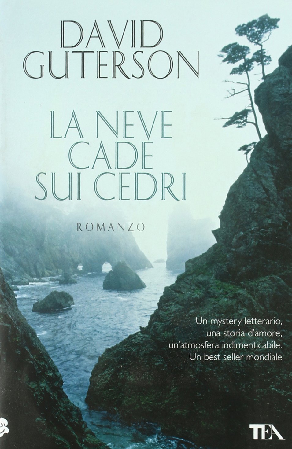 La Neve Cade Sui Cedri Guterson David Biondi M Amazon It Libri
