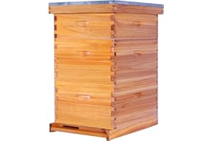POLLIBEE 10 Frame Langstroth Beehive, Beeswax Coated Bee Hives for Bee Keeper,Beehive Include 2 Deep Bee Boxes and 1 Medium Bee Hive Box with Frame and Foundation(Unassembled)