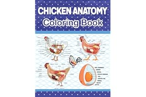 Chicken Anatomy Coloring Book: Introduction to Veterinary Anatomy and Physiology Workbook. Simple Chicken Body Parts For Children Vet Students and ... Anatomy Student Self Test Coloring Workbook.