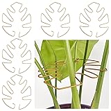 ASBEEN Monstera Plant Support 5PCS - Metal Stem