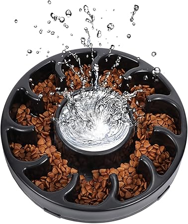 slow eating bowl dog