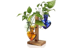 CYZGLASS Plants Propagation Stations Plant Terrarium Kit Glass Planters for Indoor Plants House Plant Accessories Gift for Women - 4 Love Bulb Vase
