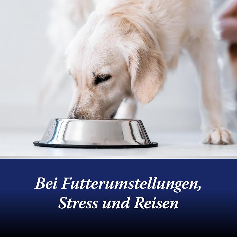 Darmflora Hund - 30 Tabletten