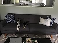 Review Image by Kaseface Kaseface