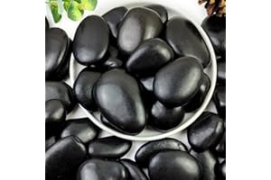 YISZM 5lbs Black Pebbles for Plants, 2-3 Inch High Polished Natural Large River Rocks for Landscaping, Decorative Stones Vase Filler Fish Tank Aquariums Garden Outdoor and Indoor DIY