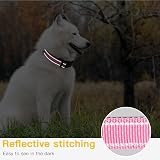HEELE Reflective Dog Collar Pink XS 20-30cm 2cm Nylon Neoprene Padding view 6