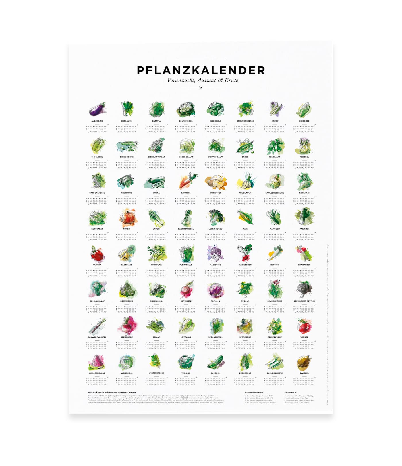 Plant calendar and sowing calendar for the garden, sowing times for 64 different vegetables as a poster (30 x 40 cm (only the poster))
