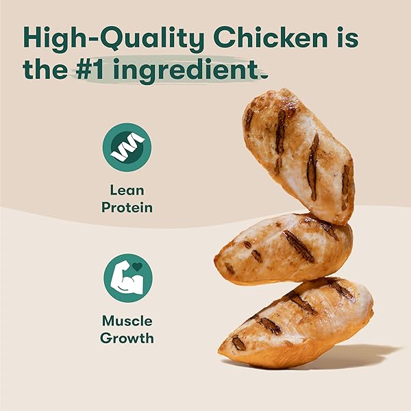 JINX OVEN-BAKED CHICKEN BONE BROTH BISCUIT TREATS, CRUNCHY, ALL NATURAL, SUPERFOOD-RICH WITH REAL CHICKEN, PUMPKIN & BLUEBERRIES, 16OZ