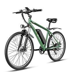 Jasion EB5 Electric Bike for Adults with Peak 500W