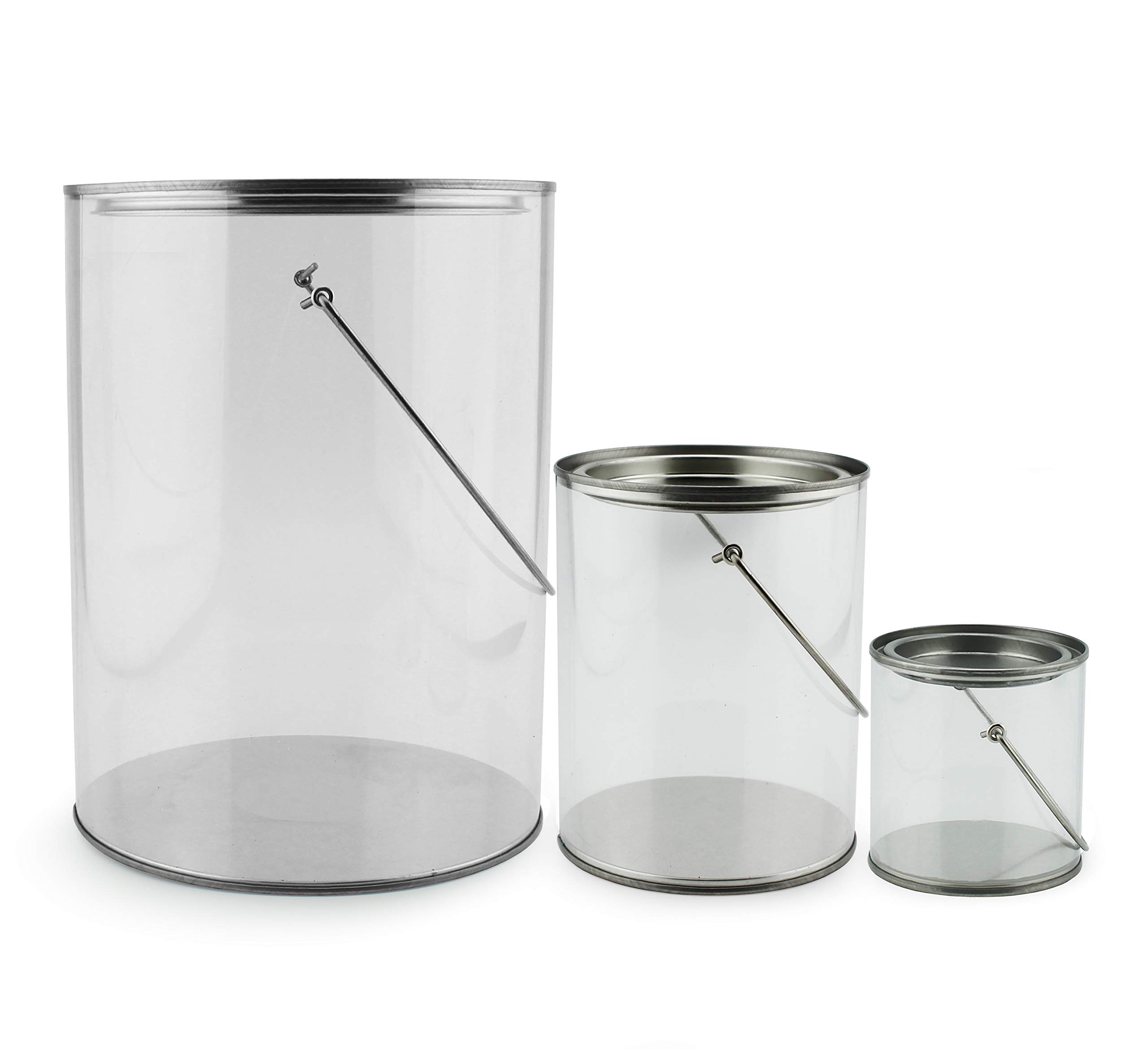 Clear Plastic Paint Cans (Gallon and Quart Combo Pack, Set