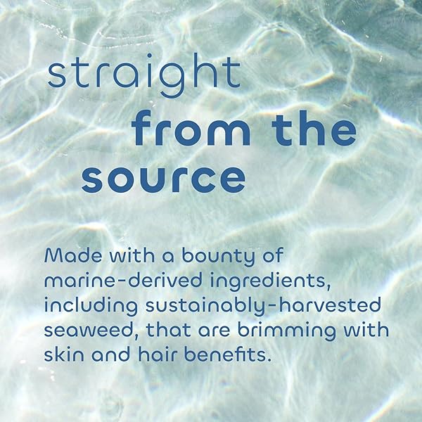 SEAWEED BATH CO. EXFOLIATE DETOX BODY SOAP, 3.75 OUNCE, SUSTAINABLY HARVESTED SEAWEED, CHARCOAL (PACKAGING MAY VARY)
