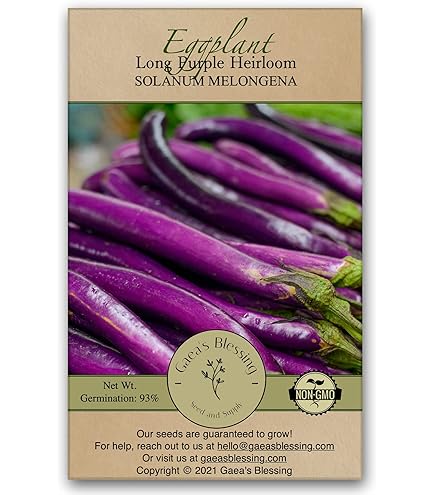 eggplantページ Eggplant - Vegetables