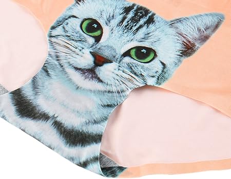 Amazon Co Jp Mioim パンティー 女性用 セクシー 無縫製 滑らかな猫プリント アンチ露出 ショーツ 3d猫パンツ レディース 下着 ナイロン ランジェリー ブリーフ 違う色5点セット 服 ファッション小物