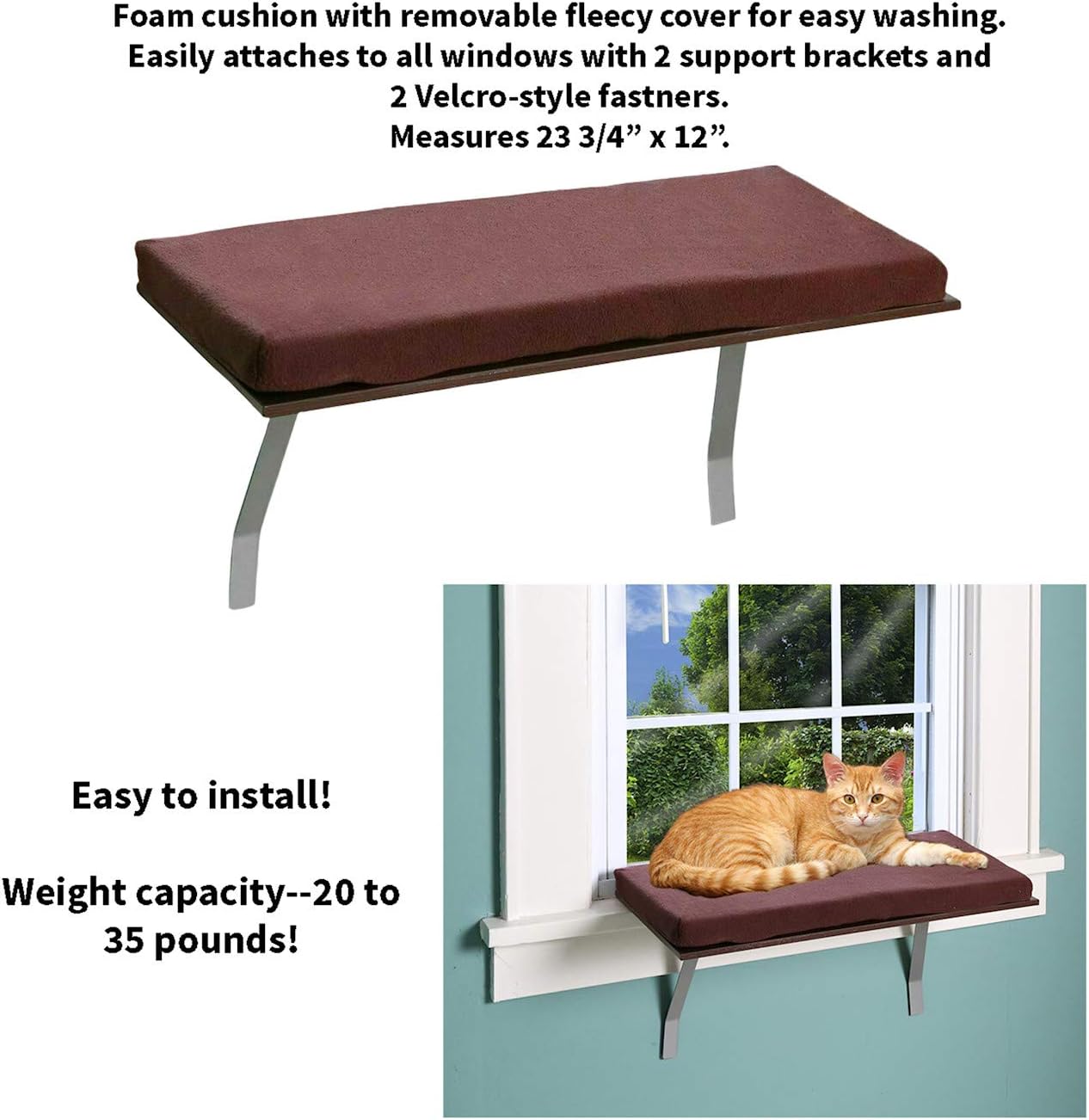 Pet Store Cat Window Perch : Pet Supplies