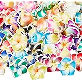 DICOSMETIC 80Pcs Polymer Clay Flower Beads Assorted Colors Floral Beads Plumeria Flower Beads Hawaiian Flower Beads 12x8mm Frangipani Flower Beads for Jewelry Making, Hole: 1.6mm