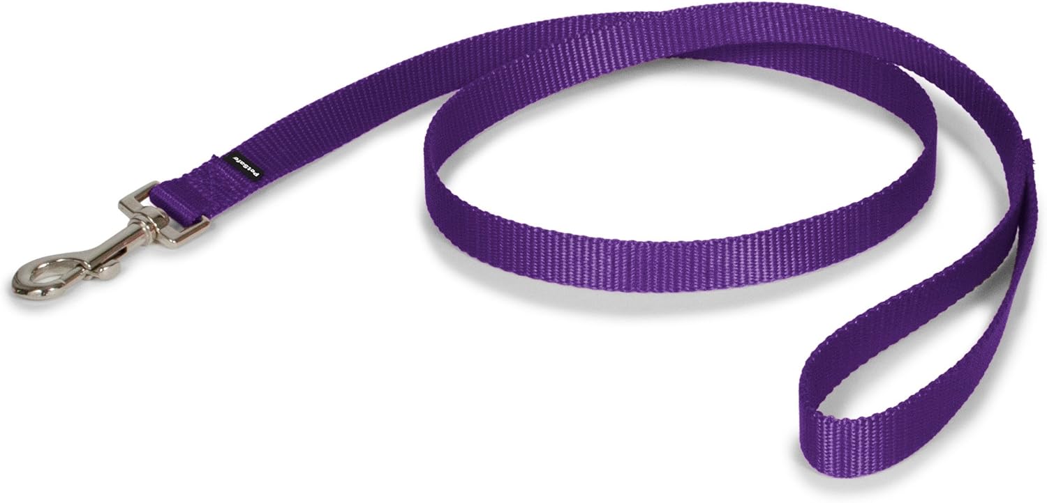purple dog leashes