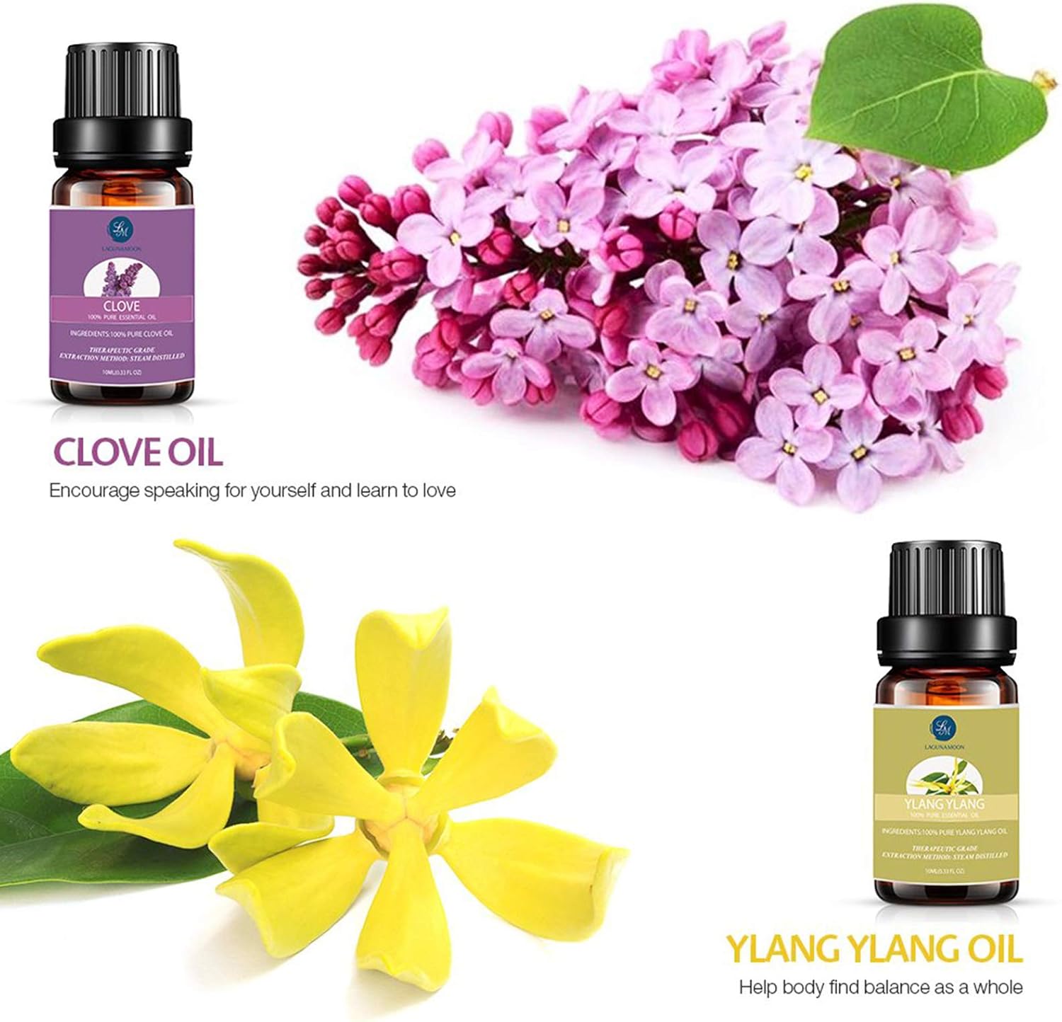 Lagunamoon Essential Oils Gift Set for Diffuser: Health & Personal Care