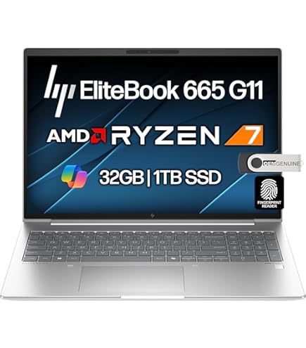 Amazon.com: HP ProBook 460 G11 16