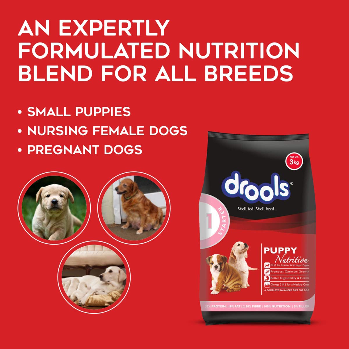 drools puppy food 3kg