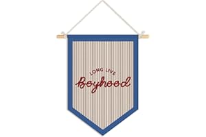 Wheatwin Long Live Boyhood Pennant Flag Banner, Boys Room Decor, Vintage Playroom Wall Decor for Kids Boys Toddler Nursery Bedroom Playroom 15x11 Inch