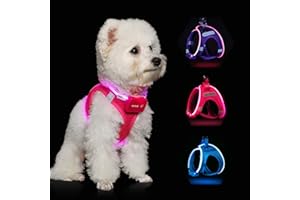 FEYCIG Light Up Dog Harness,Step in Dog Harness for Small Medium Sized Dog,No Pull Reflective Dog Vest Harness 360° High Visibility,LED Pink Dog Harness Rechargeable for Night Walking