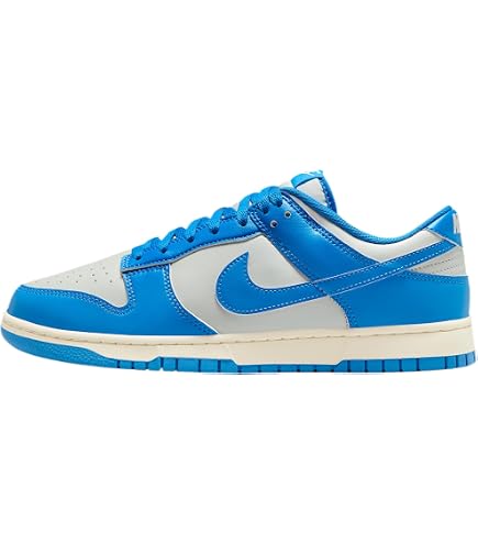 Amazon.com | Nike Mens Dunk Low Retro 
