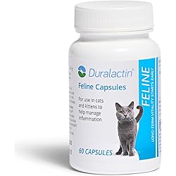 71ChvSnEPWL. AC UL250 SR250,250