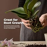 Grow Buddha Orchid Potting Mix 2L - Fast Growth, Strong Roots view 8