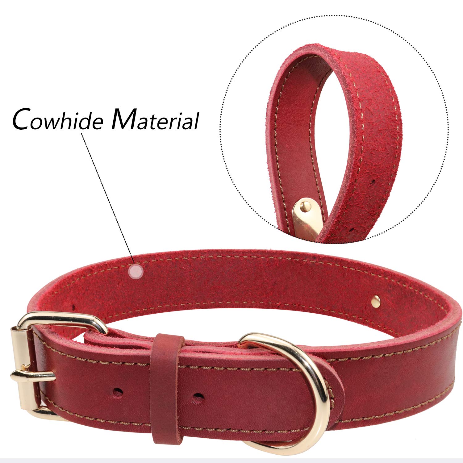 Cani TagME Collare di Cane in Pelle Personalizzato,Targhetta Incisa con Nome e Numero di Cani TagME Collare di Cane in Pelle Personalizzato,Targhetta Incisa con Nome e Numero di