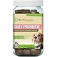 Pet Naturals of Vermont - Daily Probiotic for Dogs, Digestive Health Supplement, 160 Bite Sized Chews