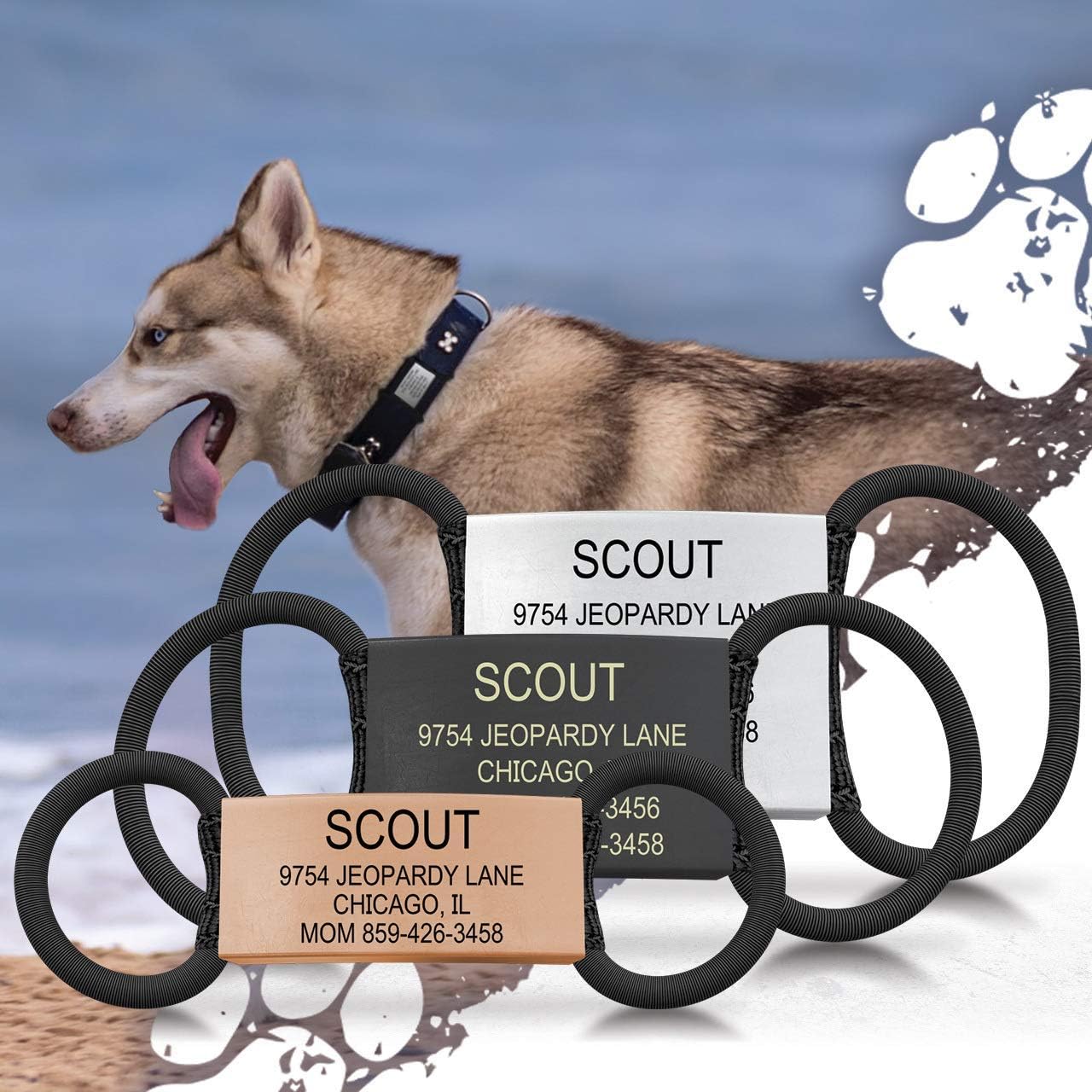 Amazon Com The Pet Id Jingle Free Peace Of Mind Dog 13mm Slate Pet Supplies Amazon Com The Pet Id Jingle Free Peace Of Mind Dog 13mm Slate Pet Supplies