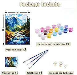 Yunnuo Paint by Numbers Kit DIY Abstract