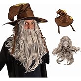 HandinHandCreations Wizard Wig and Long Beard with Wizard Sorcerer Costume Hat - Adult Set All Included
