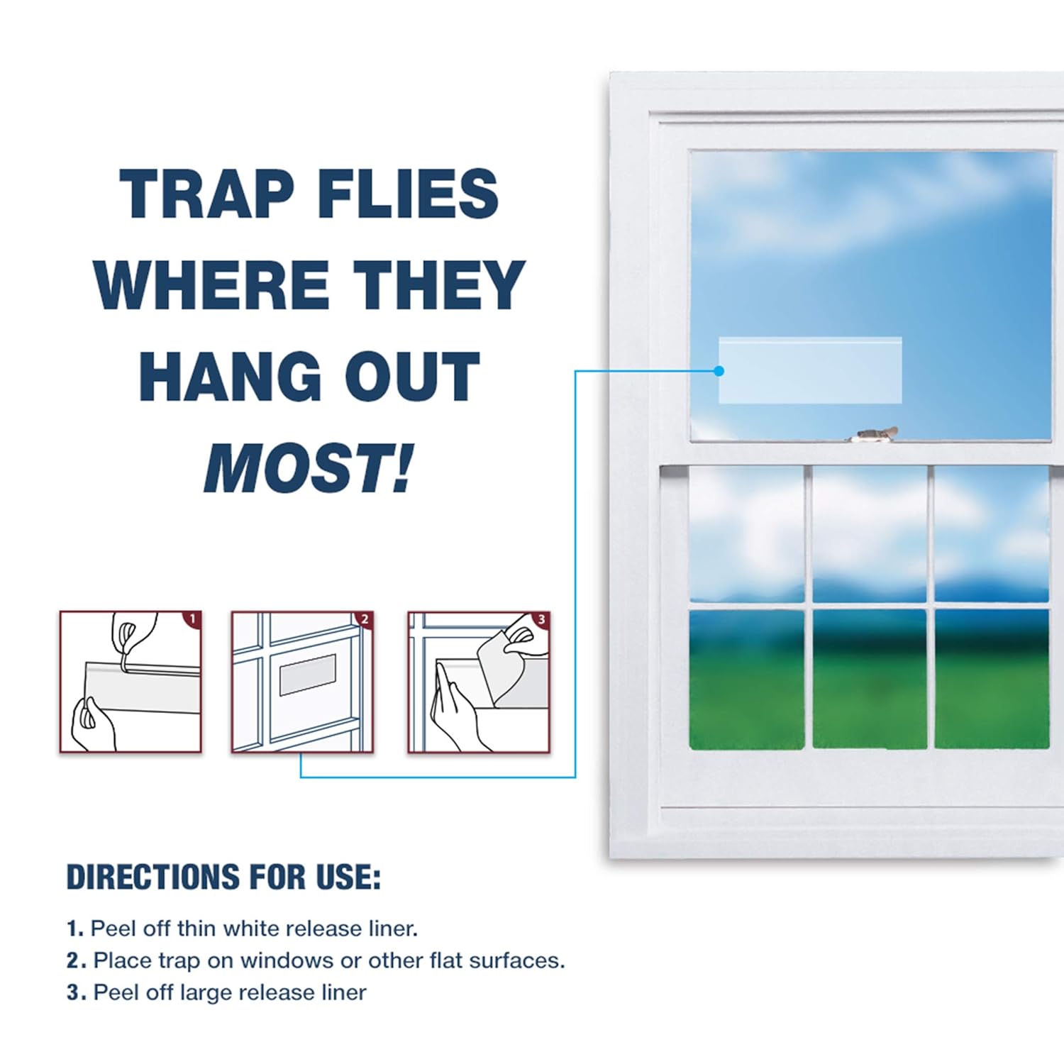 Catchmaster Bug & Fly Clear Window Fly Traps - Pack of 12 Traps: Industrial & Scientific
