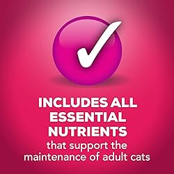 Purina Friskies Wet Cat Food, Prime Filets With